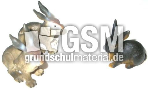 Hasen2+1.jpg